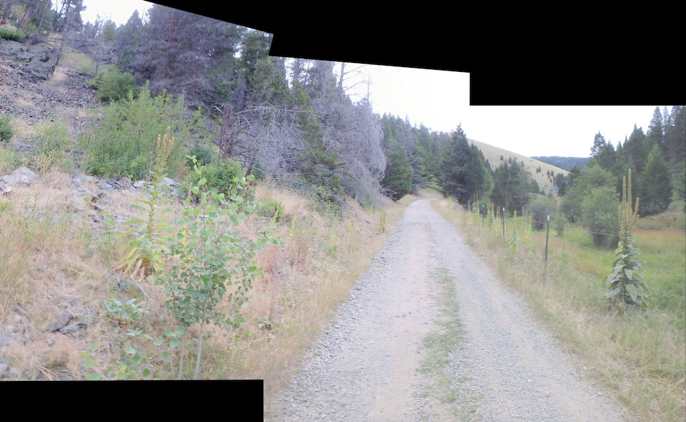 GDMBR: Lava Rock, Aspen, Pine, and a nice dirt road.